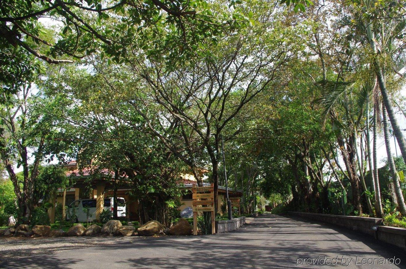 Hotel Robledal Alajuela Exteriér fotografie