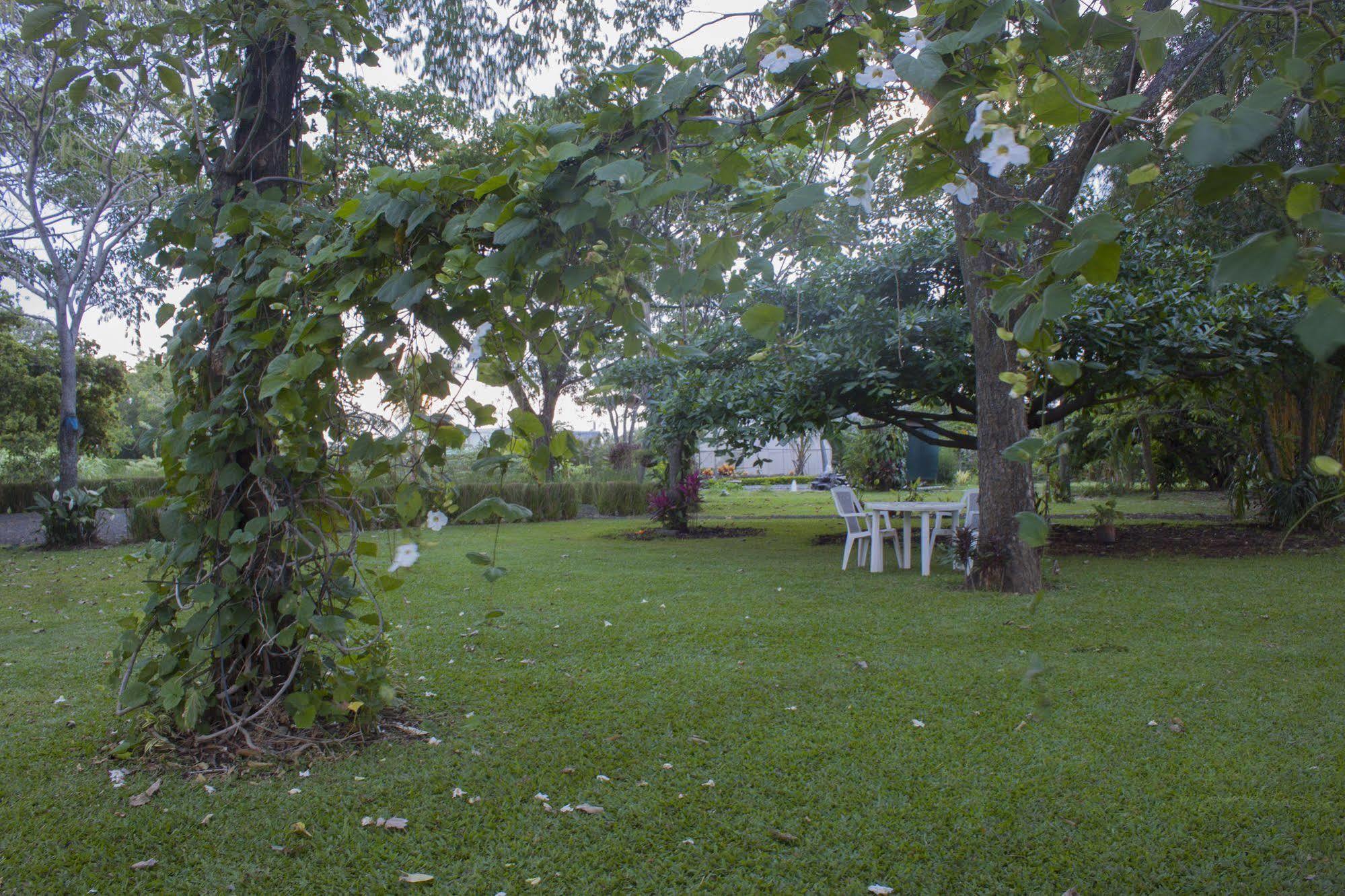 Hotel Robledal Alajuela Exteriér fotografie